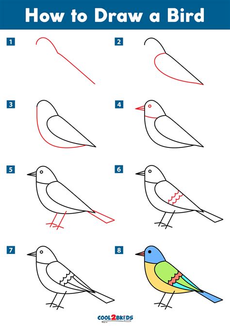 bird pictures to draw|how to draw birds step by step.